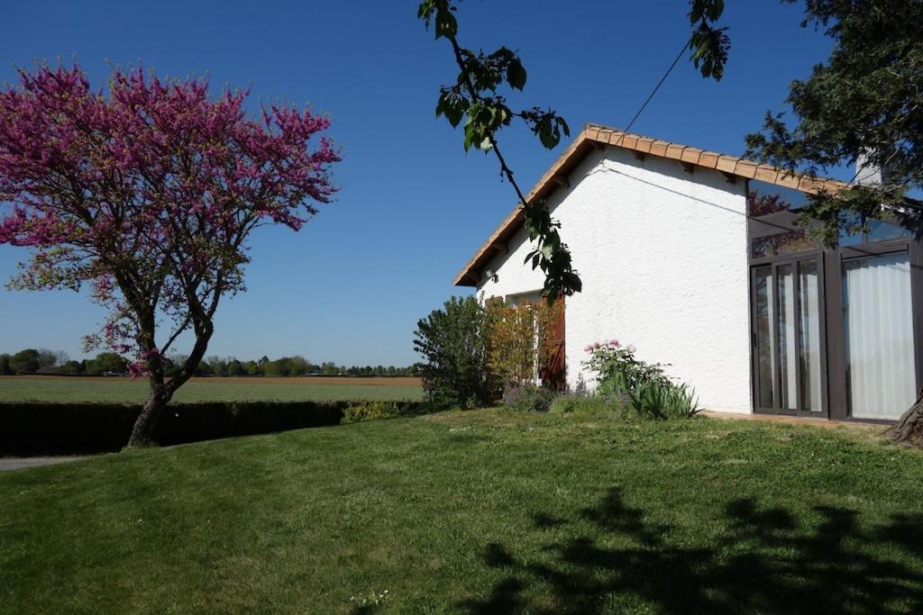 A Proximite Du Futuroscope Et Des Marais Poitevin Βίλα Rouille Εξωτερικό φωτογραφία